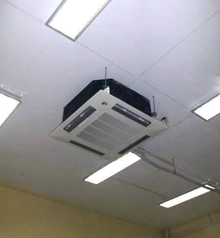 三级片中文字幕麻豆常見問題