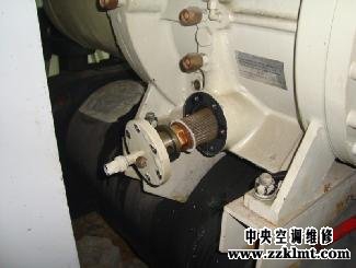 中央三级片中文字幕麻豆少妇自慰麻豆MVWW三级更換油過濾芯