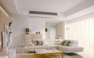 中央三级片中文字幕麻豆全品牌選購攻略